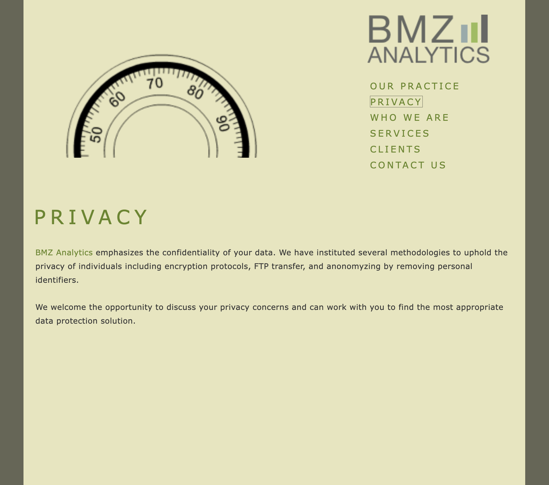 BMZ Analytics - Privacy page